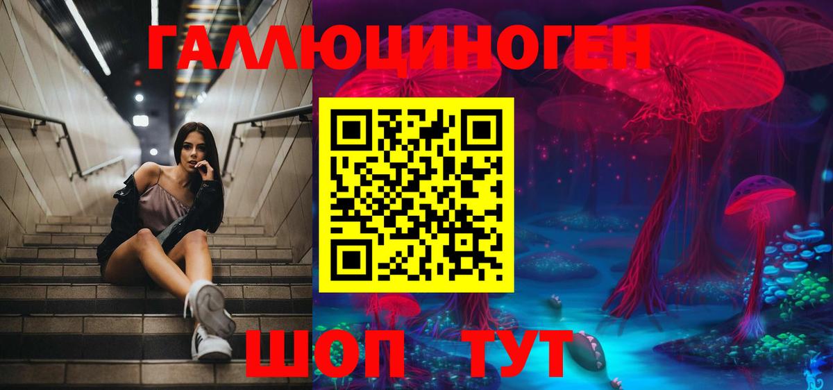 Псилоцибиновые грибы GOLDEN TEACHER  Вход с VPN  Казань 